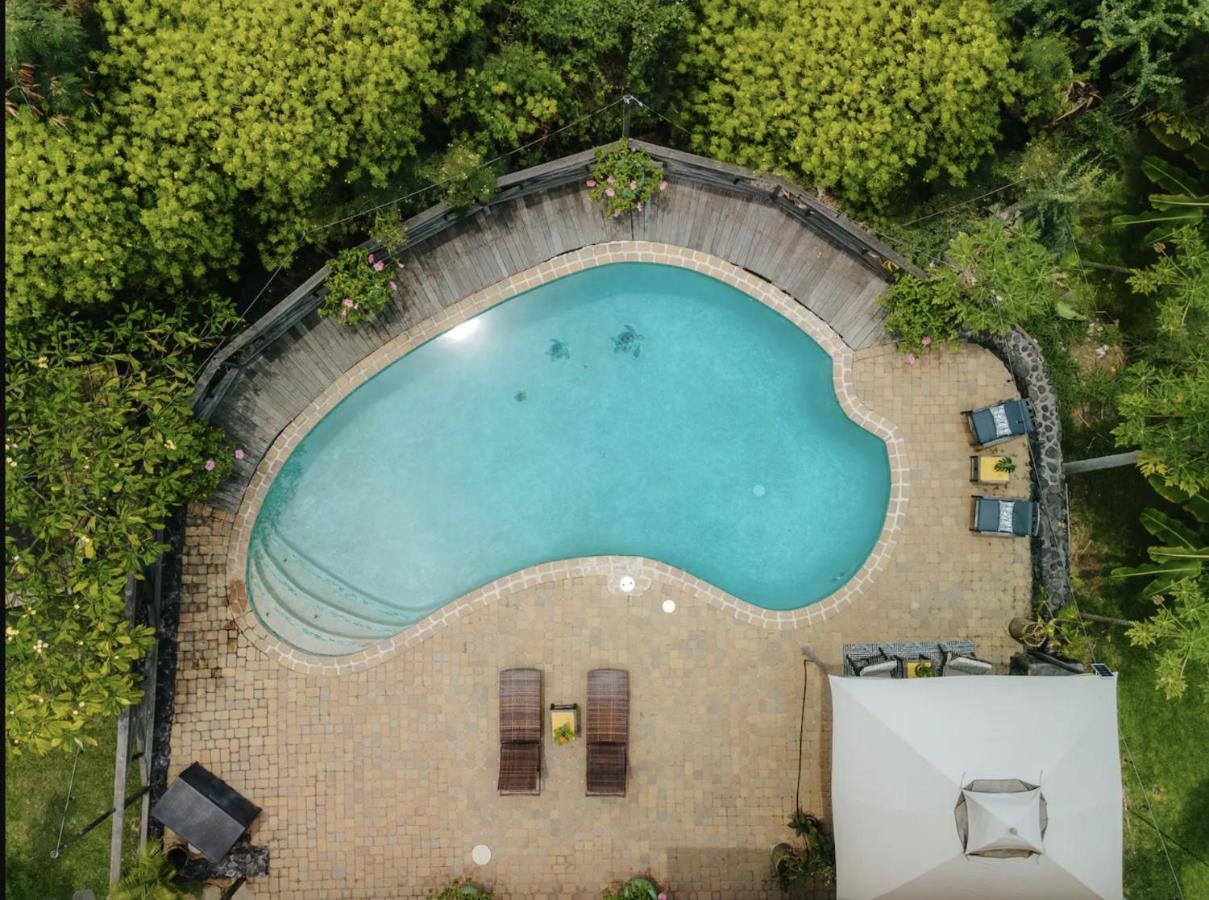 The Koi House With Pool Apartamento Kailua-Kona Exterior foto